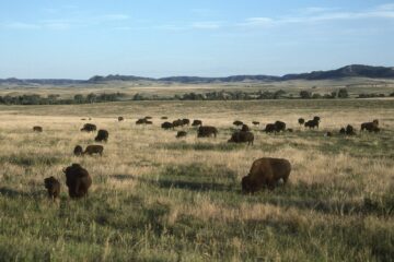 Elk Island National Park